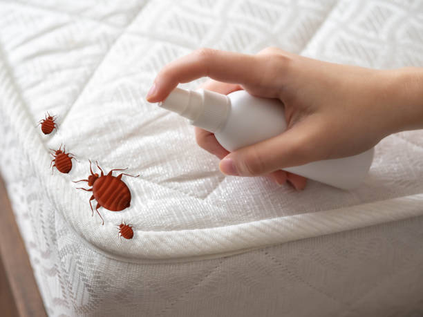 Best Bed Bug Extermination  in Williamsport, OH